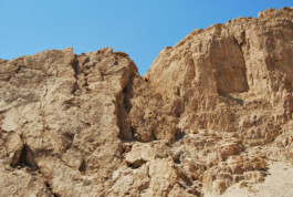 EREZ NEVI PANA
